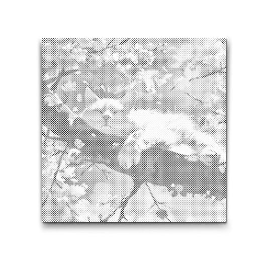 Dotting - Sovende kat i et træ