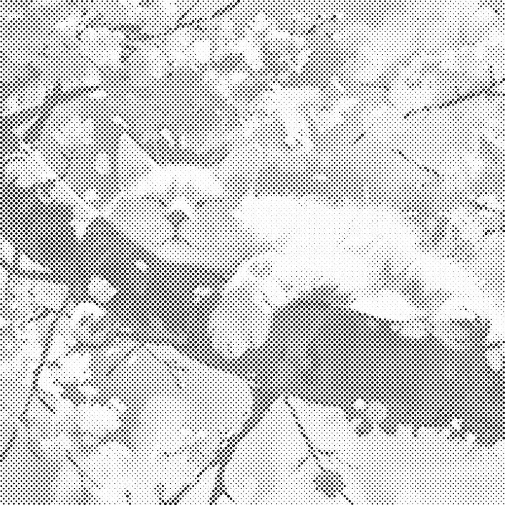 Dotting - Sovende kat i et træ