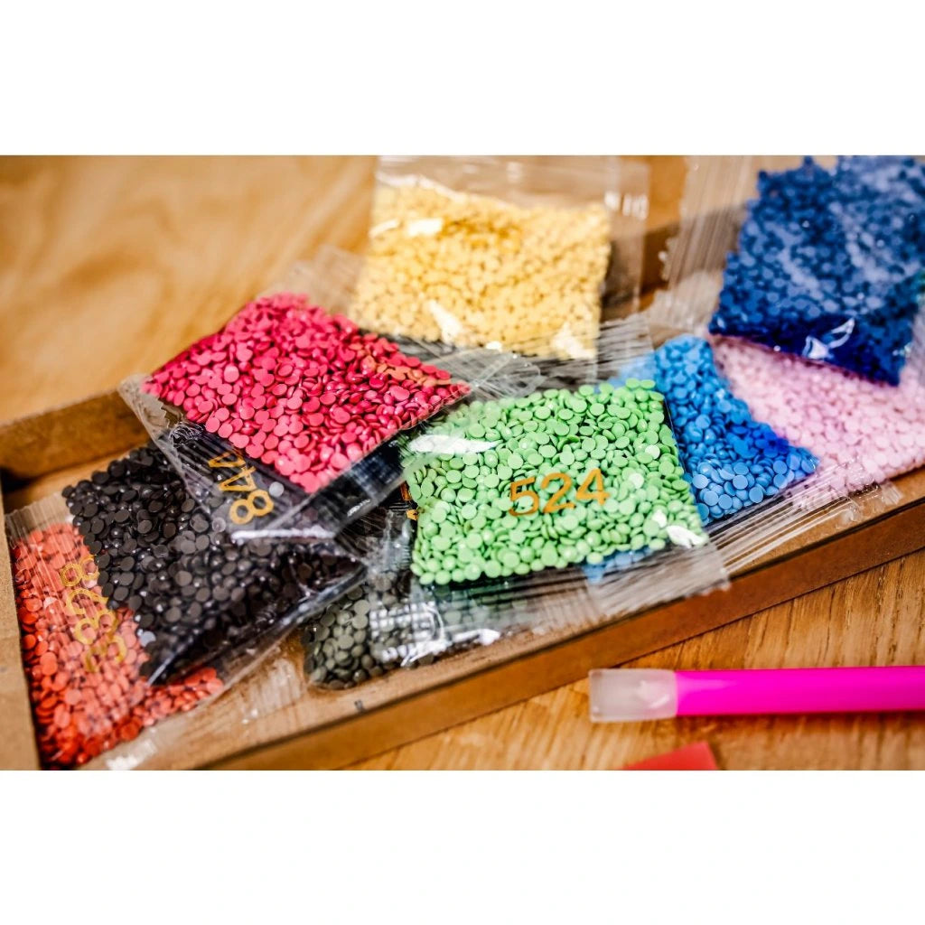 Diamond Paint - Genskab dit foto med diamanter - poser med sten